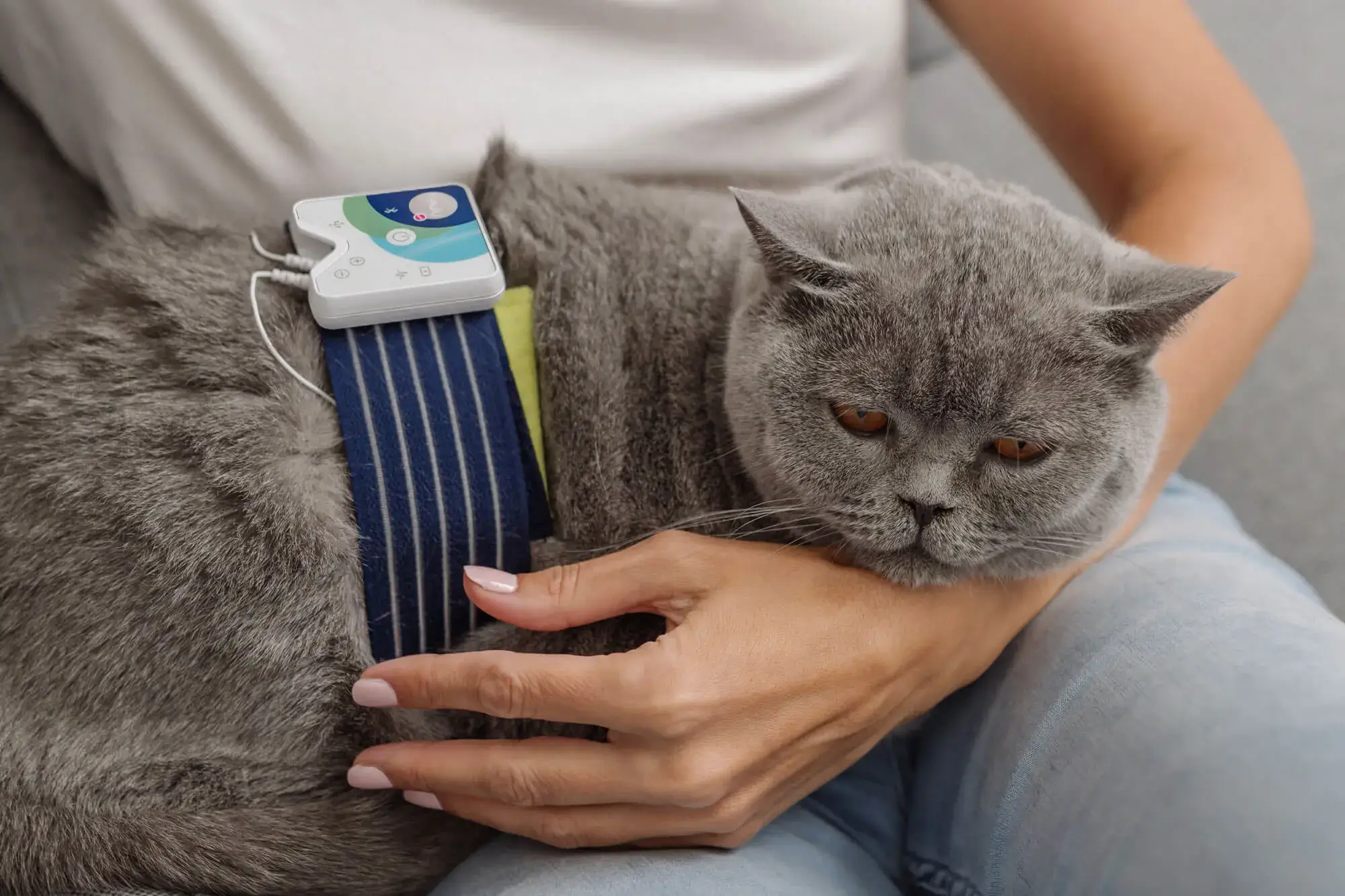 Healy, HealAdvisor Animal Module